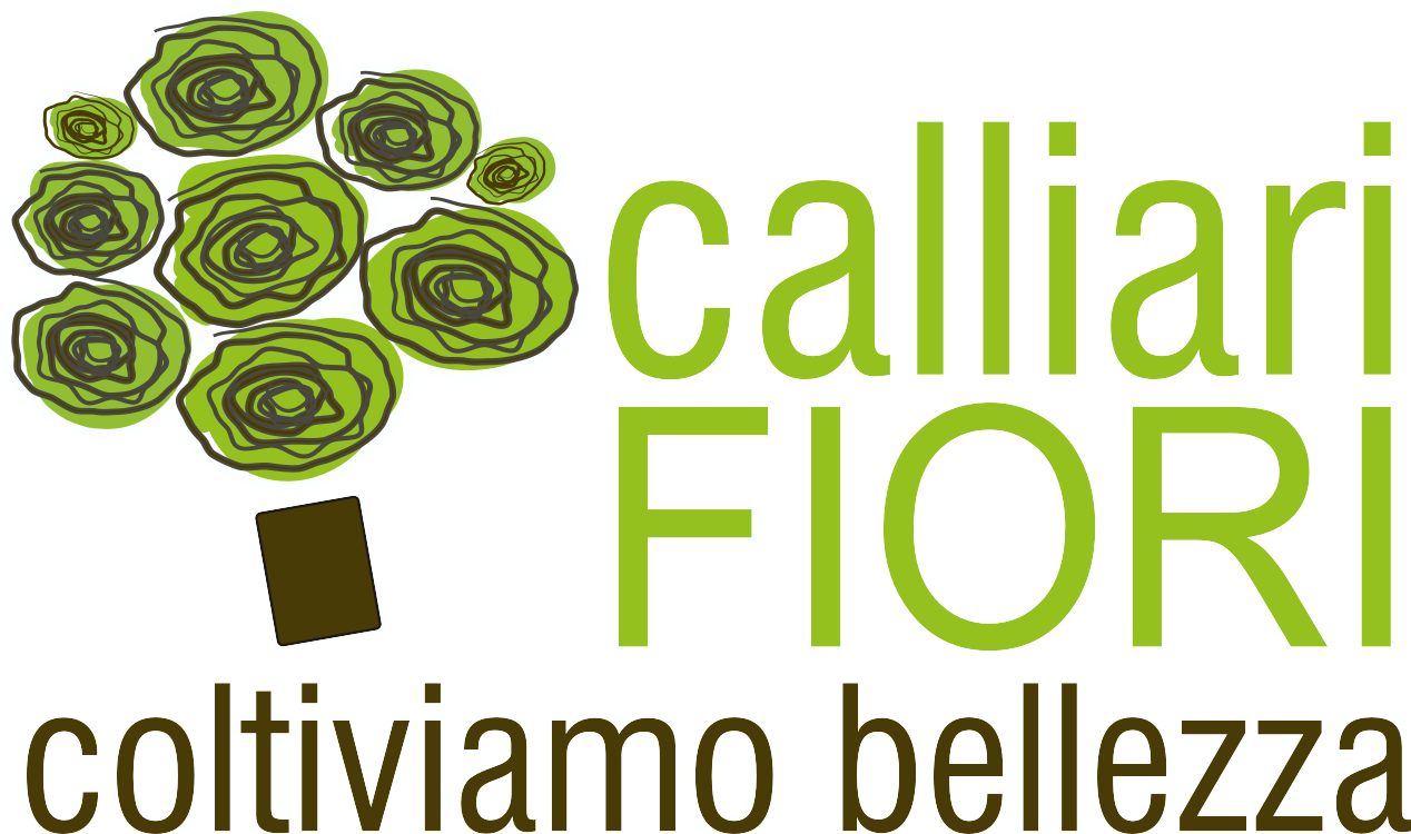 Calliari Fiori sceglie SKEDDI AZIENDA
