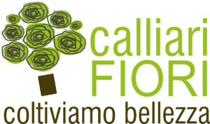 Calliari Fiori sceglie SKEDDI AZIENDA